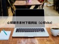 山南心碎都市素材下载网站（心碎ska）